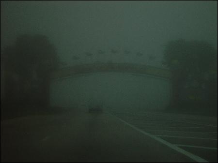 Wegweiser nach Walt Disney World im Nebel