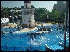 Key West Dolphin Stadium in Seaworld Orlando